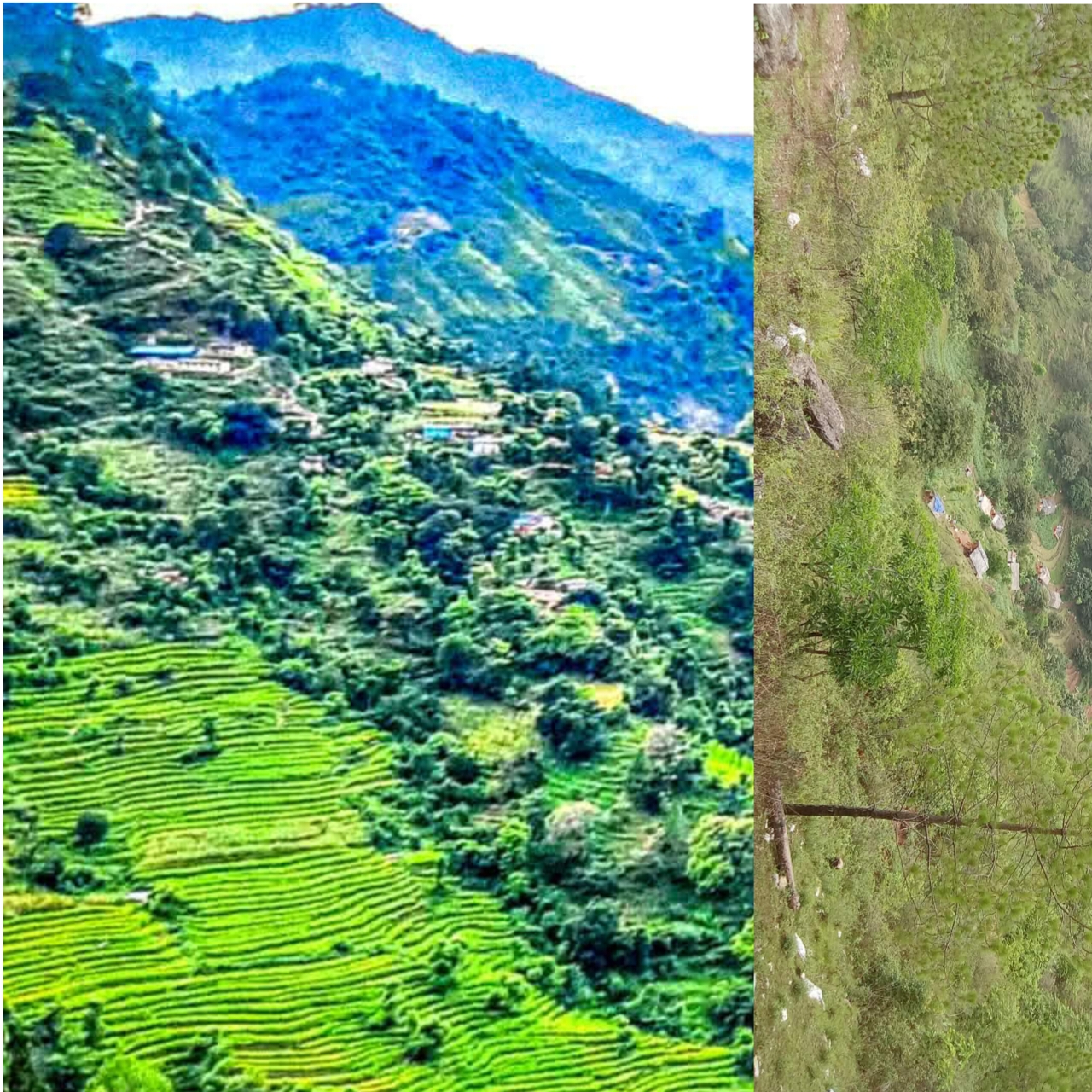 लेकम–४ मा मोबाइल नेटवर्क शून्य, सडक नहुँदा झन् समस्या — स्थानीय आक्रोश